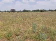 23.9 Acre Farmland for Sale in Arusha - 2