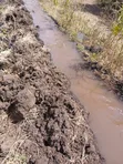 23.9 Acre Farmland for Sale in Arusha - 3