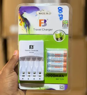 FB Travel Charger Kit with 4 Rechargeable AA Batteries