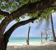 Beachfront Plot for Sale in Bwejuu, Zanzibar - 5