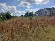 Residential Plot for Sale, Bunju Near Environmental College - 4