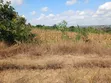 Residential Plot for Sale, Bunju Near Environmental College - 5