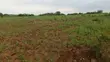 30 Hectares Farm for Sale, Mbwewe - 3
