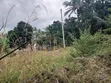 Land Plot for Sale, Goba Muhimbili - 4