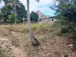 Land Plot for Sale, Goba Muhimbili - 5