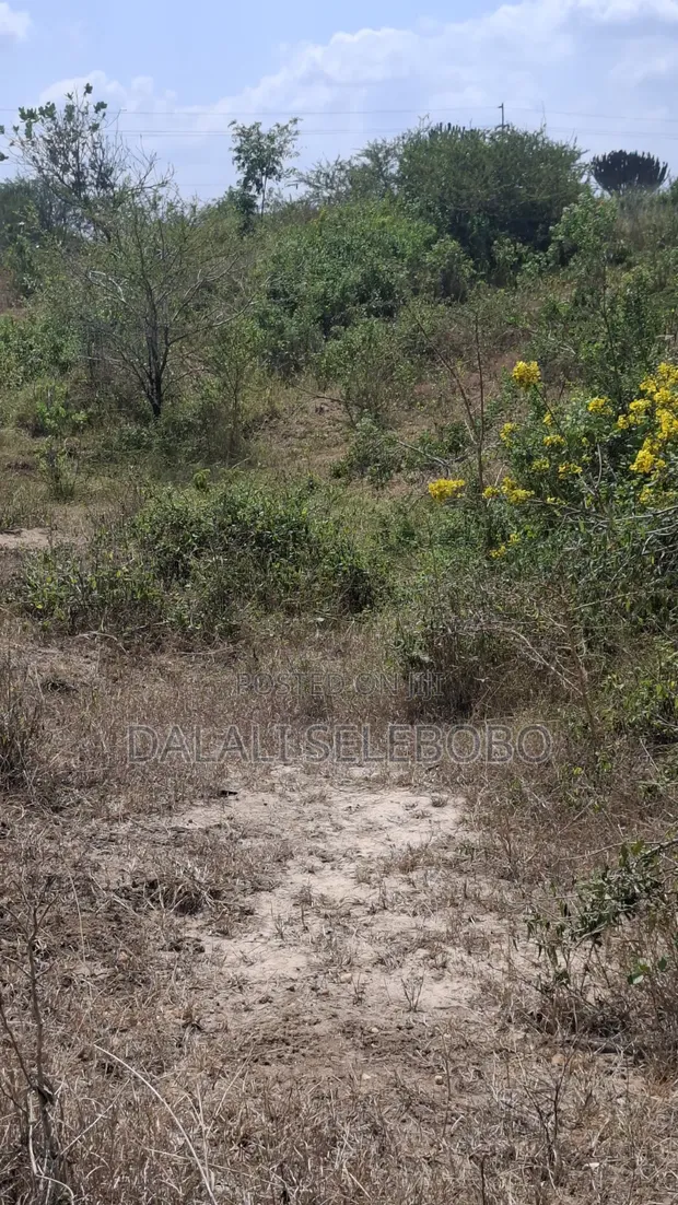 50 Hectares Land for Sale in Handeni Mazingara with Minerals - 1