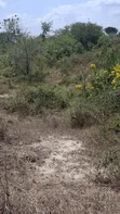 50 Hectares Land for Sale in Handeni Mazingara with Minerals - 1