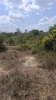 50 Hectares Land for Sale in Handeni Mazingara with Minerals - 2