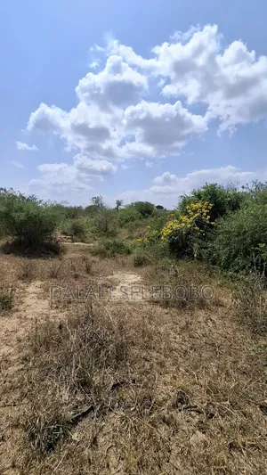50 Hectares Land for Sale in Handeni Mazingara with Minerals