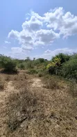 50 Hectares Land for Sale in Handeni Mazingara with Minerals - 4
