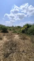 50 Hectares Land for Sale in Handeni Mazingara with Minerals - 5