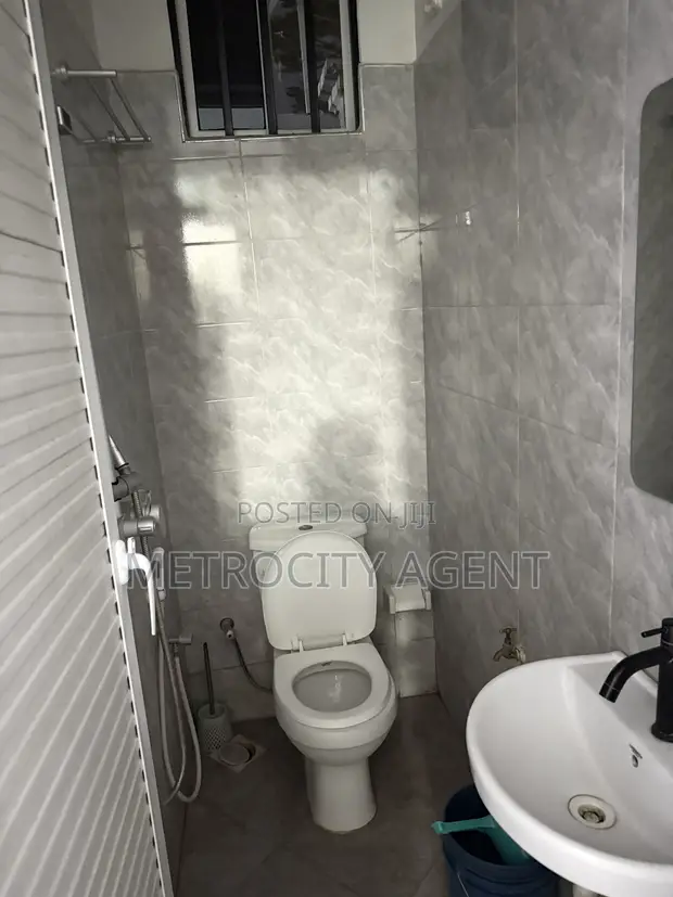 Furnished 1-Bedroom Apartment in Metro Estate, Kinondoni - 1