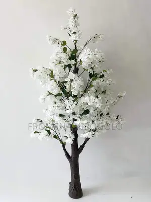 Beautiful Decorative Flowers