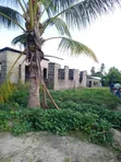 Nyumba 6 Chumba Viwege, Ilala Inauzwa - 2