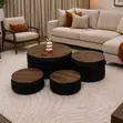 Coffee Table Set - 2