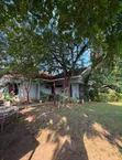 3 Bedroom Standalone House for Rent in Masaki - 1