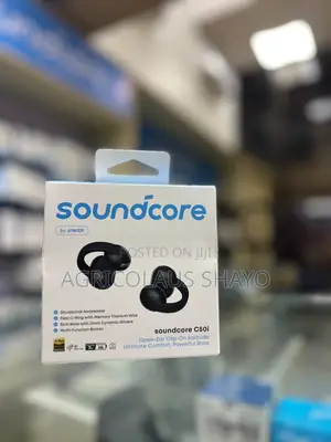 Soundcore by Anker C50i Wireless Earbuds