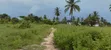 Surveyed Plot for Sale in Mbutu, Kigamboni Near Beach & Hotels - 1