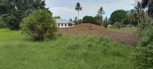 Surveyed Plot for Sale in Mbutu, Kigamboni Near Beach & Hotels