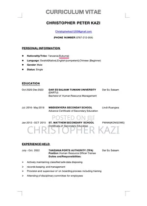 Revenue Assurance & HR Administration Professional