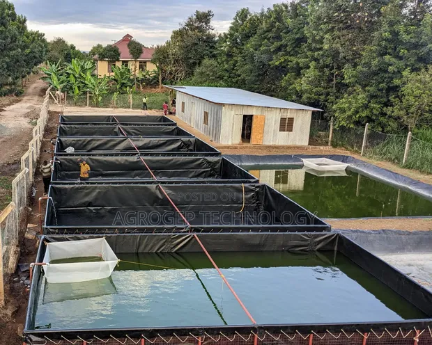 HDPE Geomembrane Dam Liner - 1