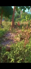 Residential Plot for Sale, Kifuru, Kinyerezi - 3