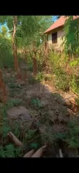 Residential Plot for Sale, Kifuru, Kinyerezi - 4