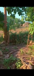 Residential Plot for Sale, Kifuru, Kinyerezi - 5