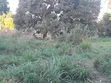 Eneo la Stesheni ya Petroli kwa Mauzo - Kerege, Barabara ya Bagamoyo - 1