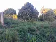 Eneo la Stesheni ya Petroli kwa Mauzo - Kerege, Barabara ya Bagamoyo - 2