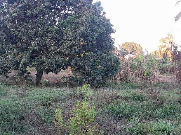 Petrol Station Plot for Sale - Kerege, Bagamoyo Road - 1