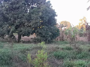 Petrol Station Plot for Sale - Kerege, Bagamoyo Road