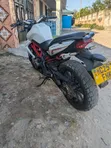 Benelli BN 125 2024 - White - 3