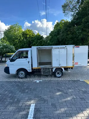 Nissan Vanette Freezer Truck