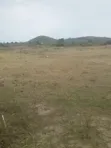 Commercial Land for Sale - 5 Acres, Mwanza-Shinyanga Road - 1