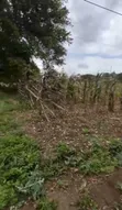 1 Acre Plot for Sale in Burka, Arusha - 5