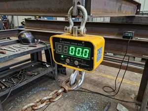 Electronic Crane Scale 2 Ton