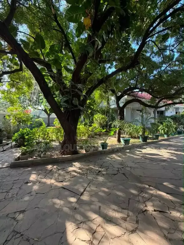 3 Bedroom House for Rent in Masaki - 1