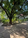 3 Bedroom House for Rent in Masaki - 1