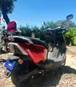 Sinoray T507 Electric Scooter - Brand New 2025 - 4