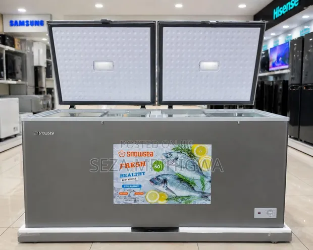 Snowsea Freezer 550L BD55S - 1