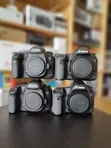 Canon 5D Mark III Body - Brand New - 2