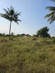 Land for Sale: 4040 SQM Madale Mbopo - 1
