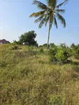 Land for Sale: 4040 SQM Madale Mbopo - 2