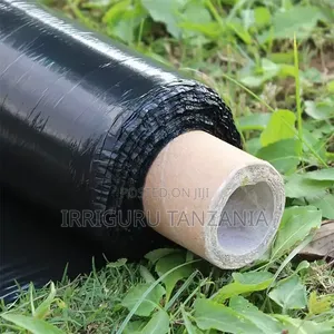 Silver Black Mulch - Brand New