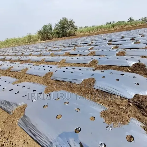 HDPE Mulch Film - 1