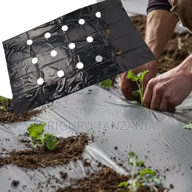 Ground Cover Film - 1