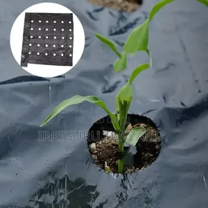 Weed Barrier Film - Brand New