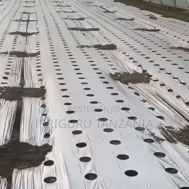 Onion Mulch Film - 1