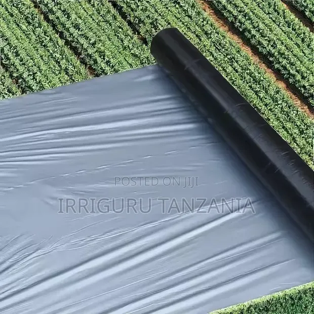 Broccoli Mulch Film - 1
